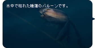 覚めない夢